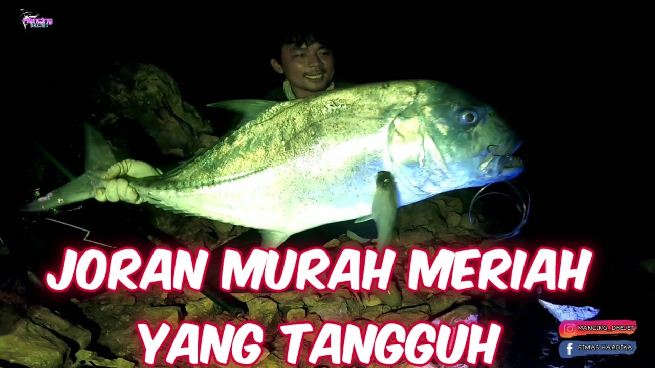 berburu ikan besar dilaut terbaru / menggunakan joran pancing murah yang tangguh