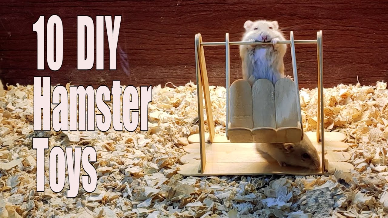 Cách Làm 10 Món Đồ Chơi Hamster Bằng Que ( 10 Easy Hamster Toys Made Out Of Popsicle Sticks )
