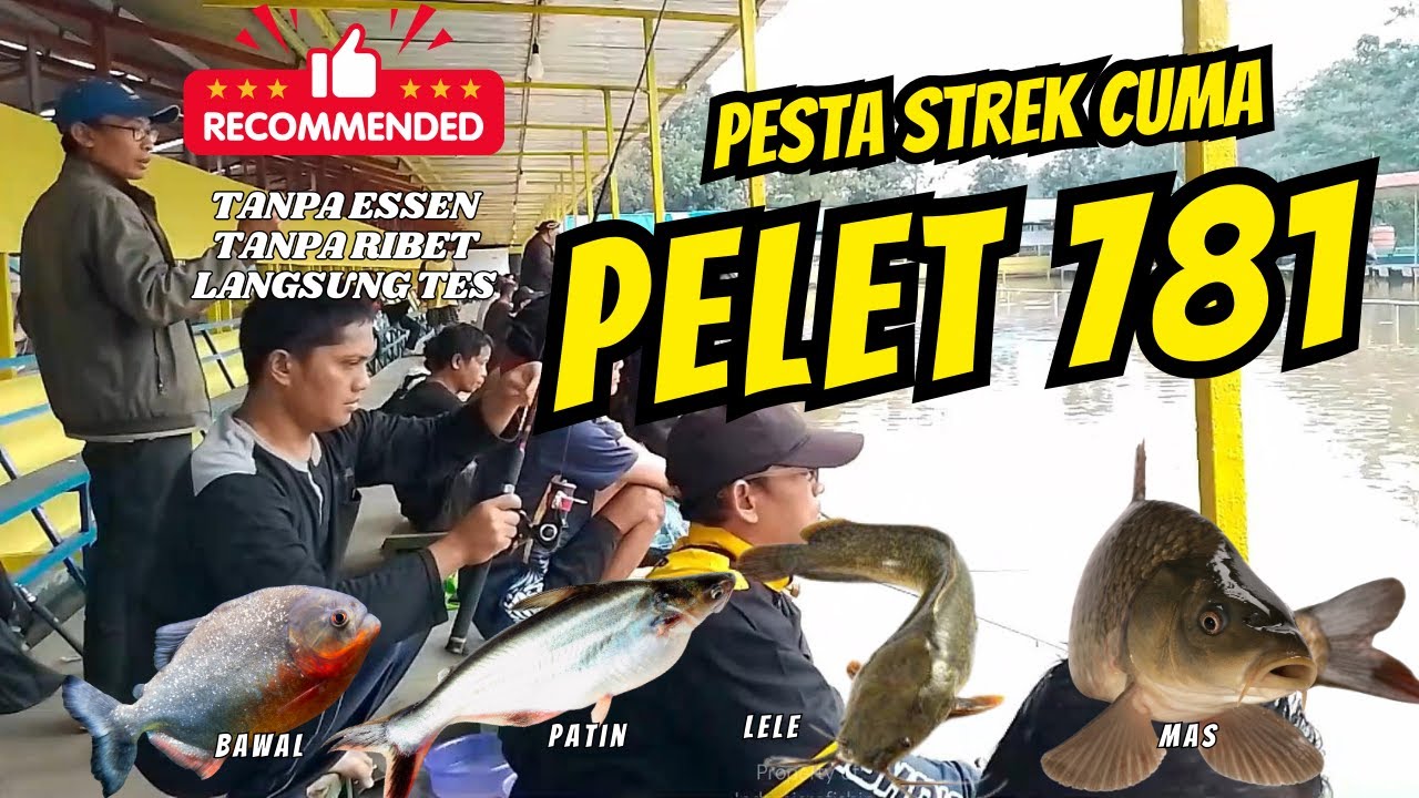 RACIKAN TERGACOR SAAT INI: mancing bawal, lele, patin, ikan mas kolam harian campur; CUMA PELET 781