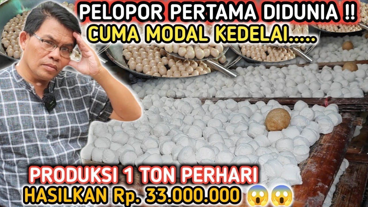 PELOPOR PERTAMA DIDUNIA ‼️LIHAT LANGSUNG KE PRODUKSINYA 1 TON PERHARI HASILKAN 33JUTA CUMA KEDELAI