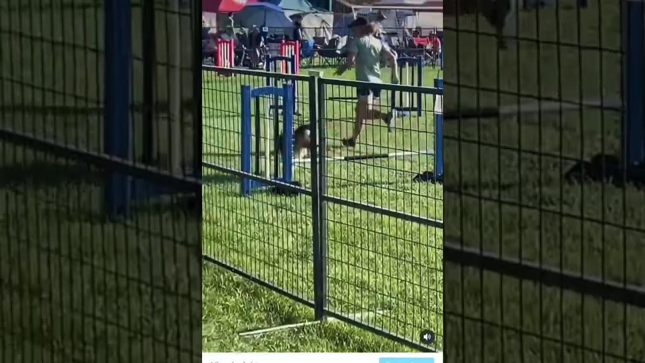 AAC AB/NWT Regional Agility Championships