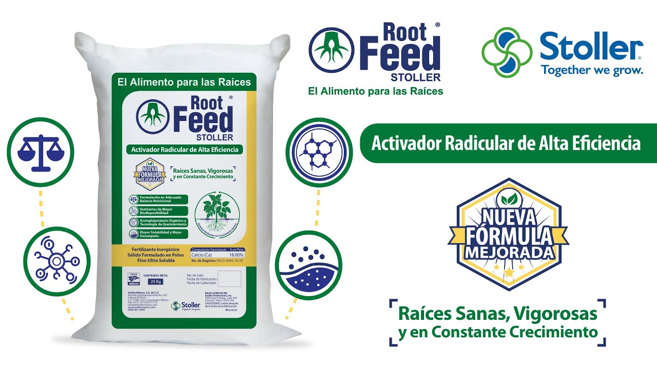 Root Feed - Activador Radicular de Alta Eficiencia