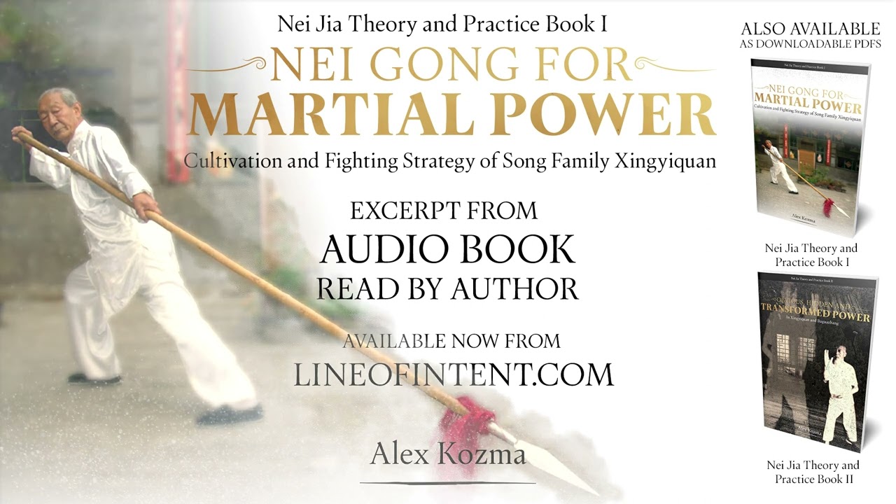 Nei Gong for Martial Power Audio Book