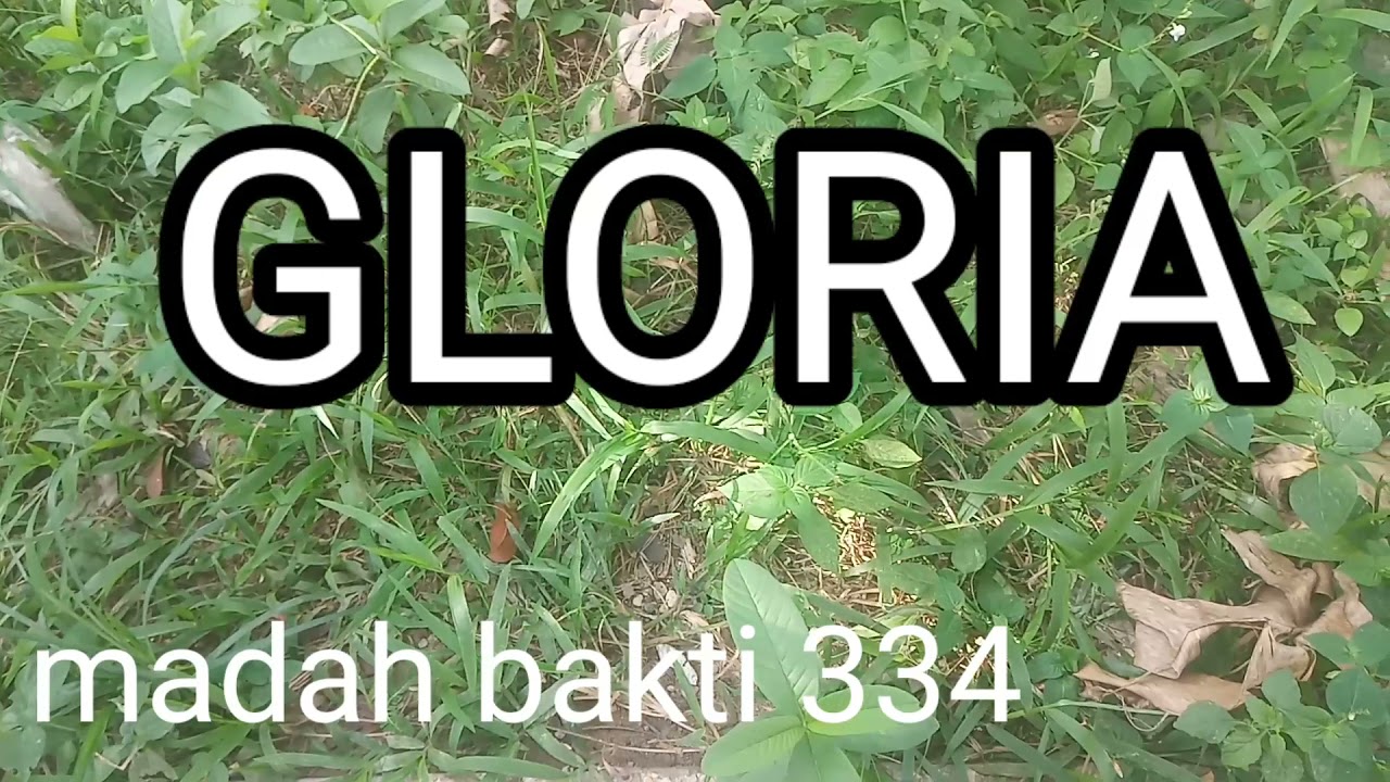 MB 334/Gloria/Natal/instrumen lagu rohani dengan lirik tanpa vokal/cover