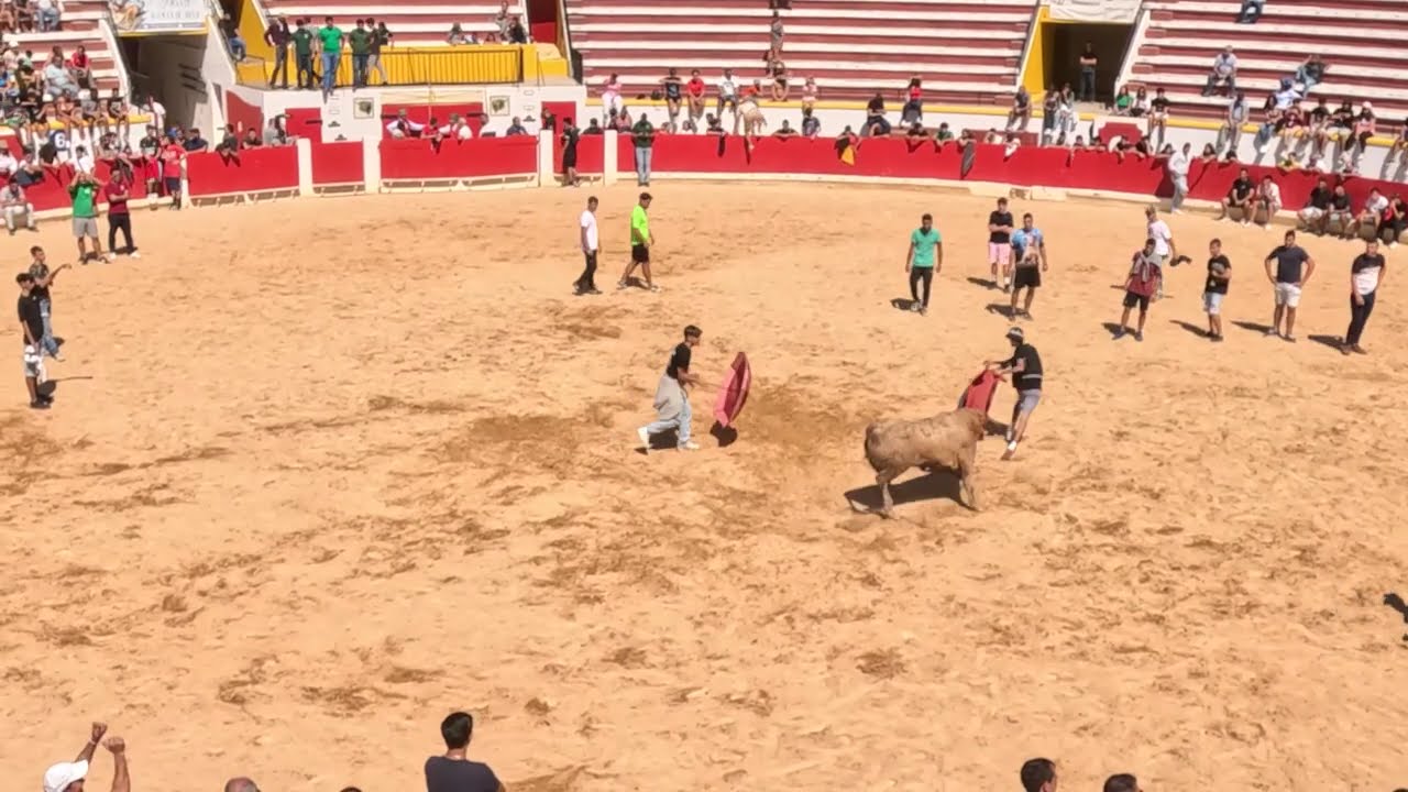 As Melhores partes da Largada de 4ª feira na Moita do Ribatejo 2023