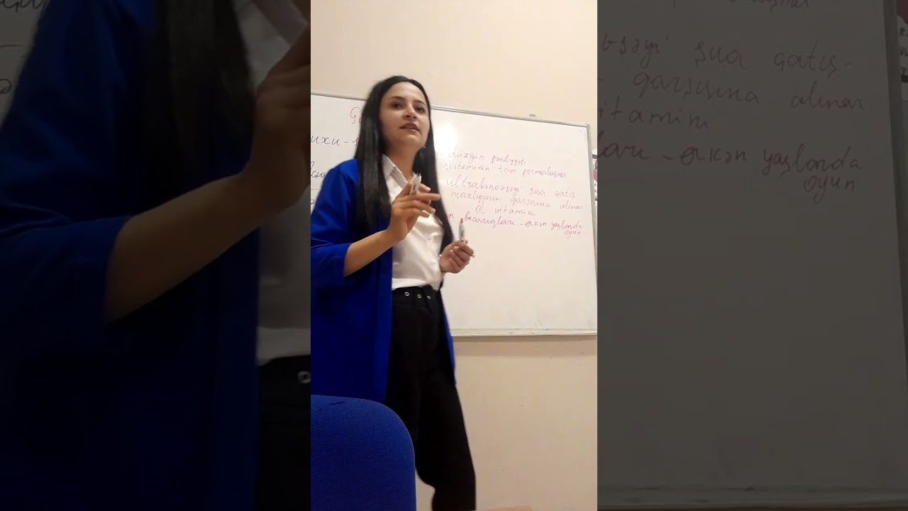 Gün rejimi