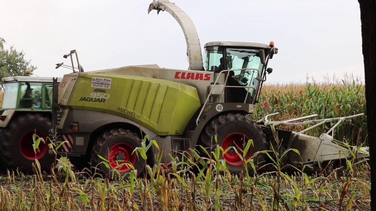 Maisernte 2017 mit Claas Jaguar 950