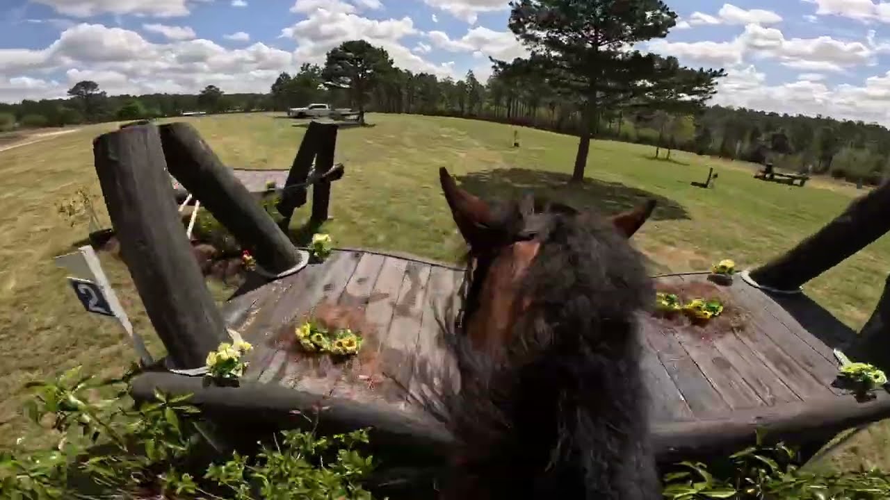 GoPro: Lissavorra Quality (6-е место | Международный весенний турнир Stable View 2026)