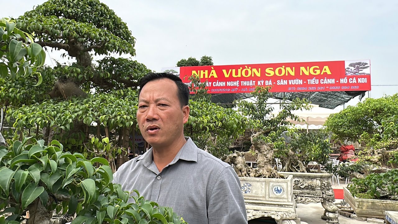 Chuyên làm đá sân vườn tiểu cảnh, Hồ cá coi. Tiêc tất niên nhà vườn Sơn Nga | Quảng Tùng