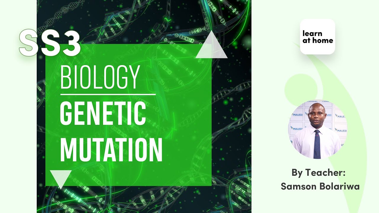 SSS3 Biology: Genetics
