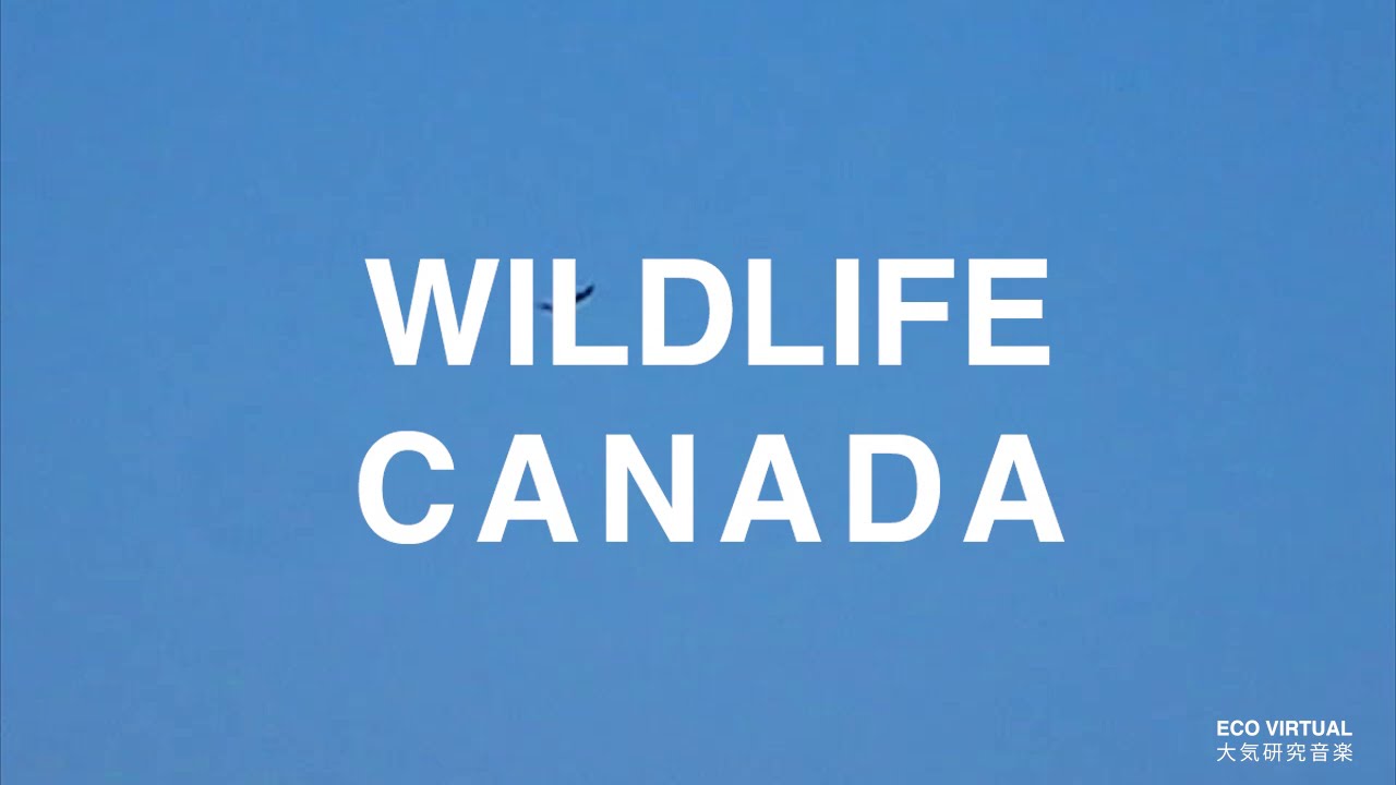 WILDLIFE CANADA [DOCUMENTARY]