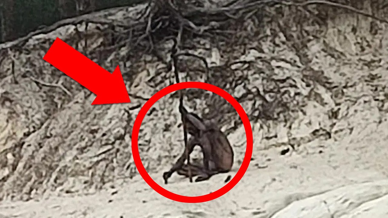 5 Disturbing Mysteries Found by Hikers