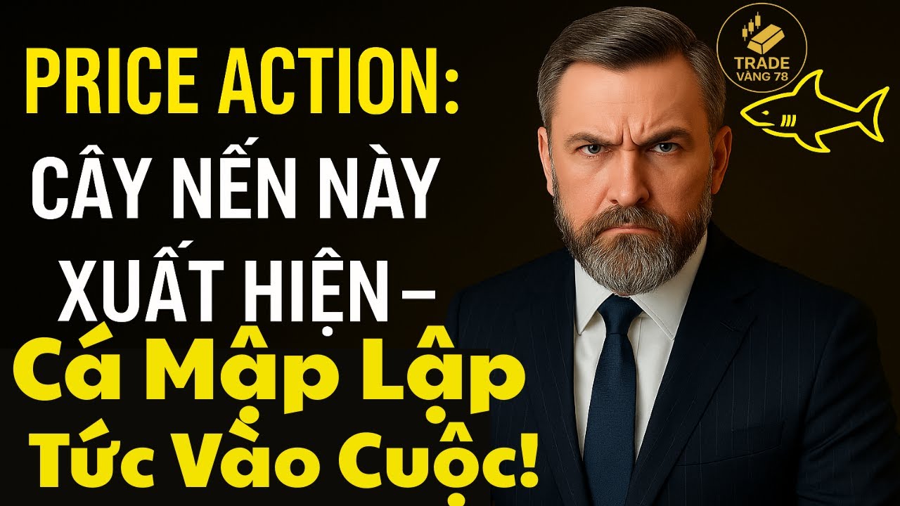 Price Action: Cây Nến Này Xuất Hiện – Cá Mập Lập Tức Vào Cuộc! | trade vang78