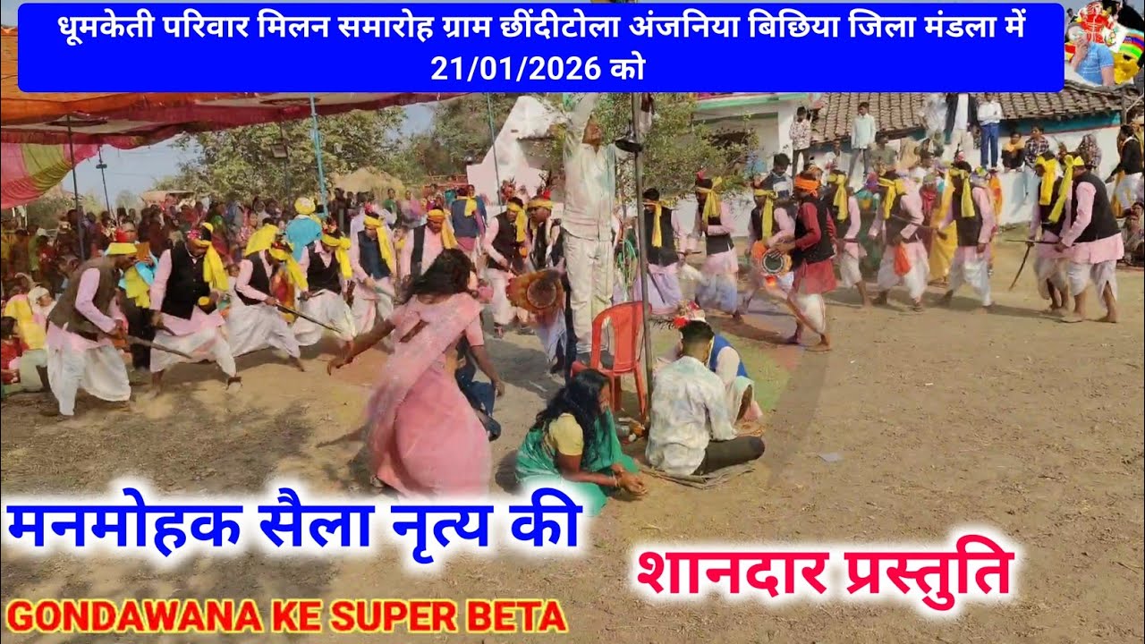 धूमकेती परिवार मिलन समारोह | ग्राम छींदीटोला अंजनिया बिछिया मंडला | मनमोहक सैला नृत्य प्रस्तुति 
