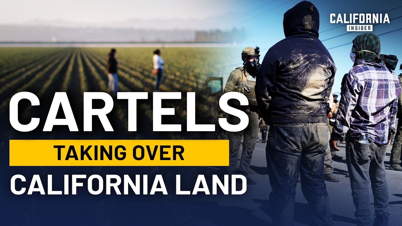 Inside Cartel Infiltration in California Growing Areas | William Honsal