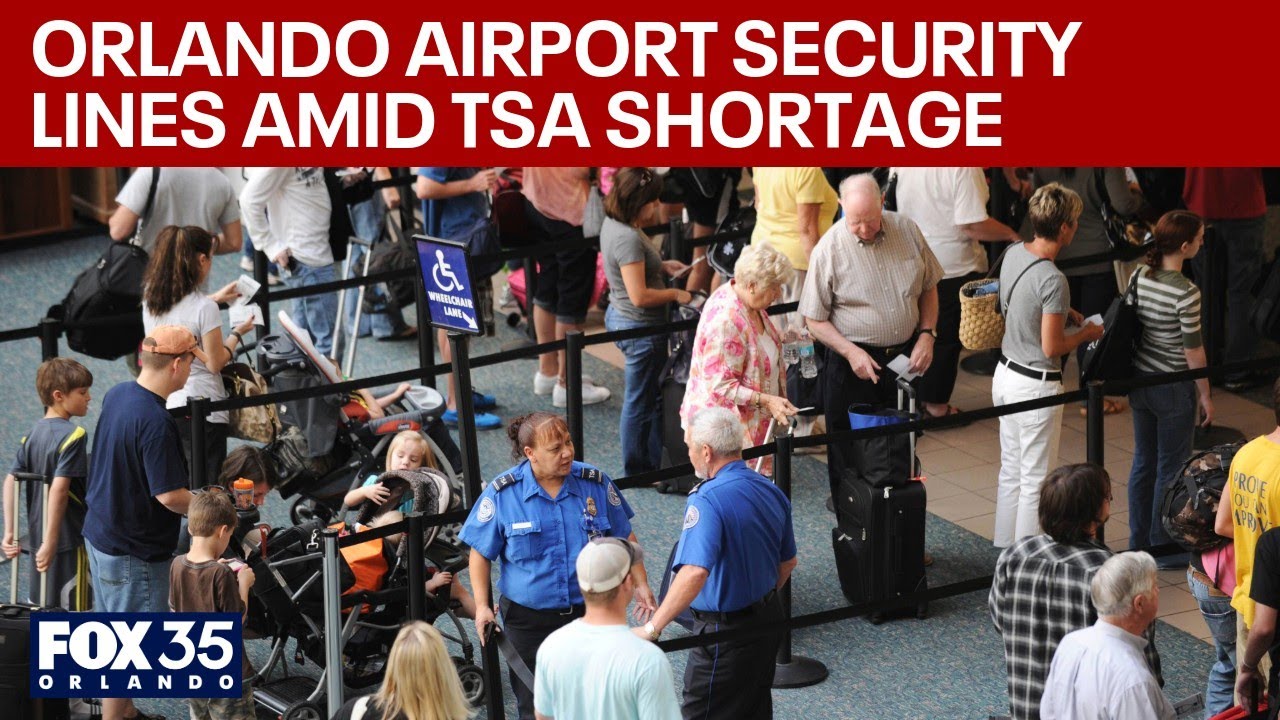 Управление транспортной безопасности США (TSA) против частных служб безопасности в аэропортах: ге...