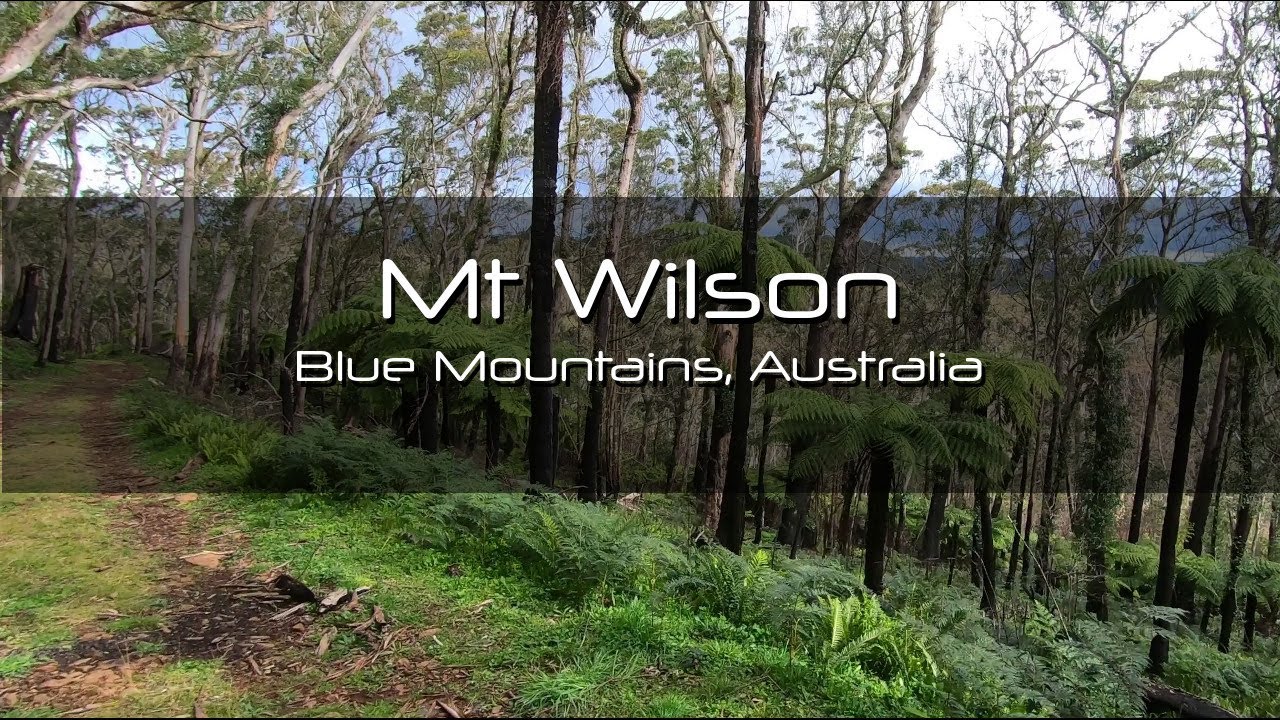 Day Hike, Mt Wilson, Blue Mountains, NSW, Australia