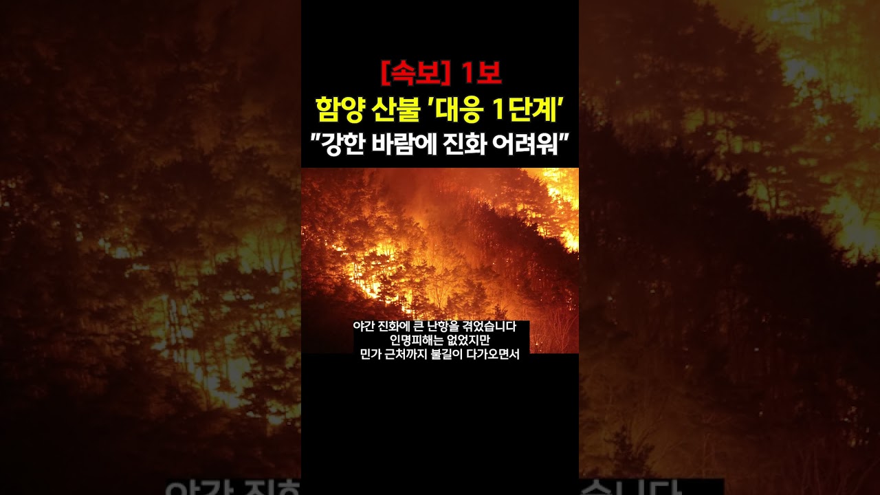 [속보] 경남 함양군서 산불..