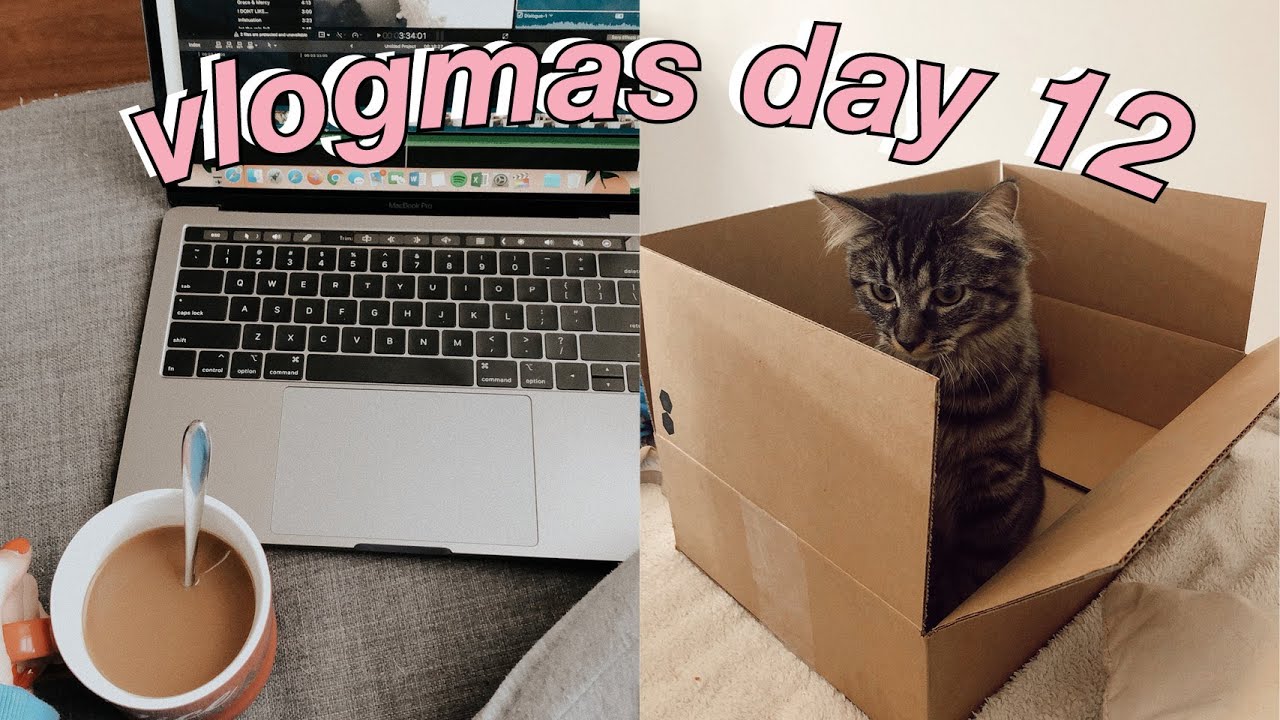 vlogmas day 12: sick day, prepping for finals, & walking my cat | maddie cidlik