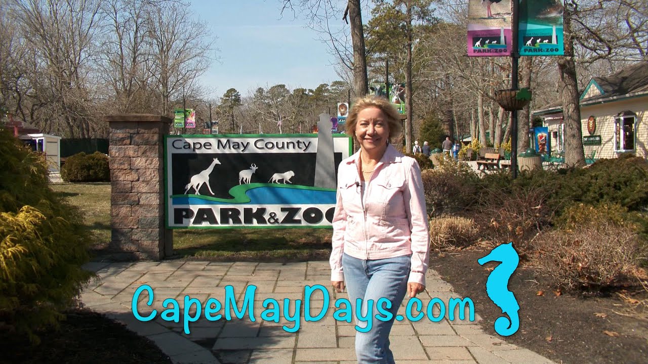 A visit to the Cape May Zoo with Cape May Days