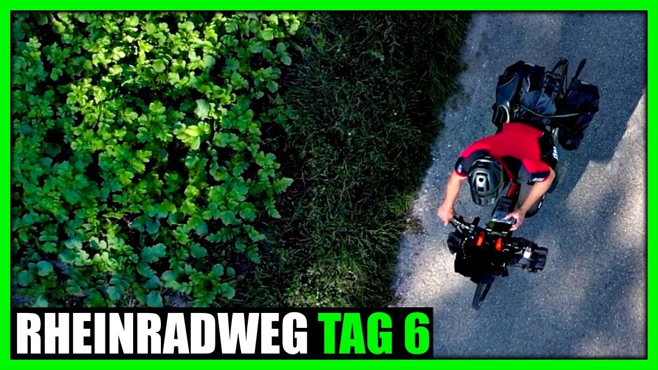 100km von Weisweil nach Basel | Rheinradweg 2022