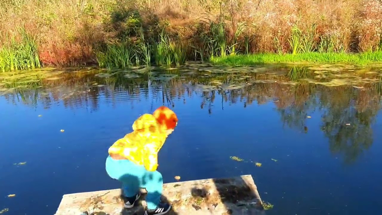 вітаємо вдома!