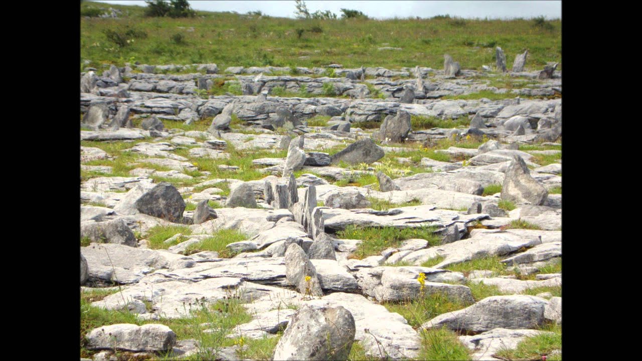 Chief O'Neill's and The Plains Of Boyle Hornpipes