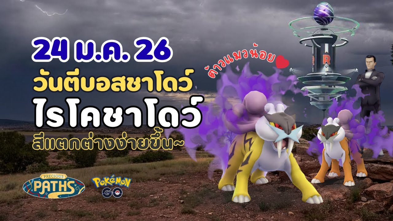 [24 ม.ค.] วันตีบอสชาโดว์ไรโค! ท็อปเทียร์ไฟฟ้า คุ้มกว่าล่าของซากากิ ⚡️🐯 | #ShadowRaikou #PokemonGo
