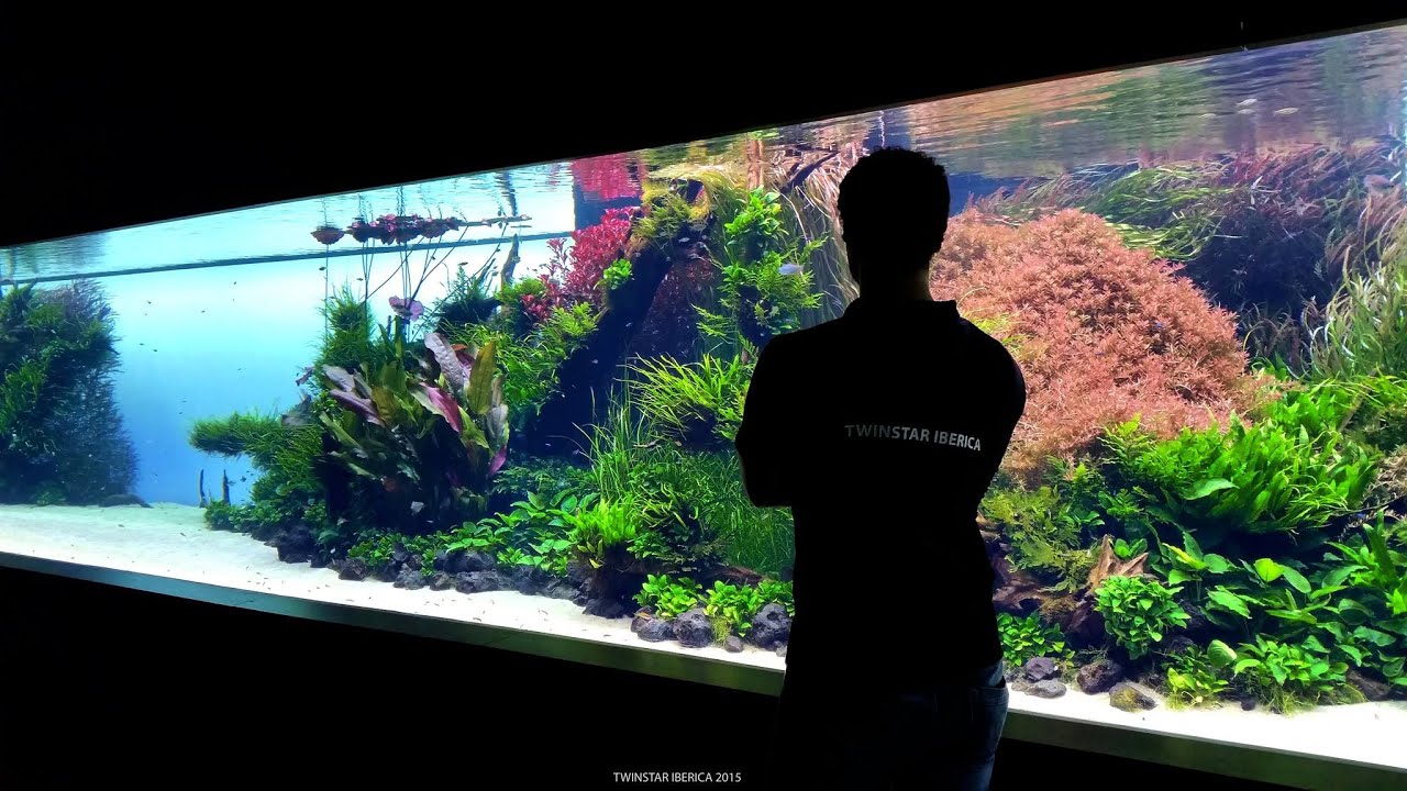 The BEST planted aquarium collection with TWINSTAR!