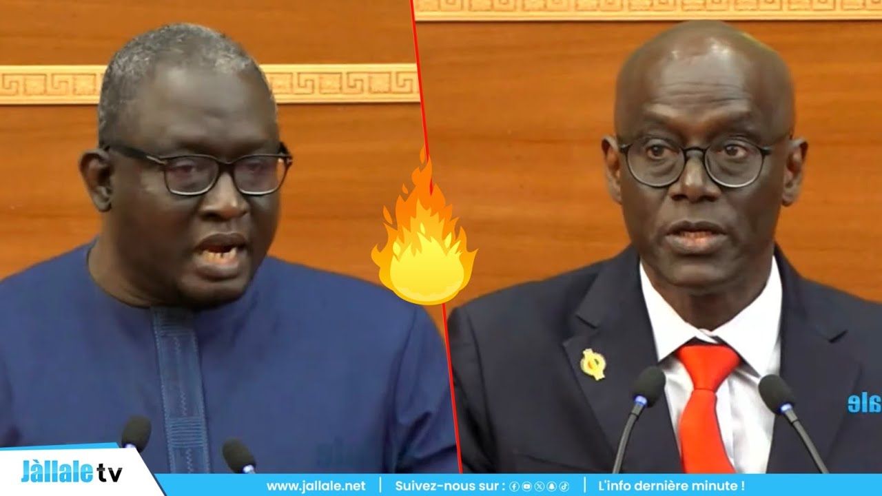 La réplique sanglante de Ayib Daffé à Thierno Alassane Sall 