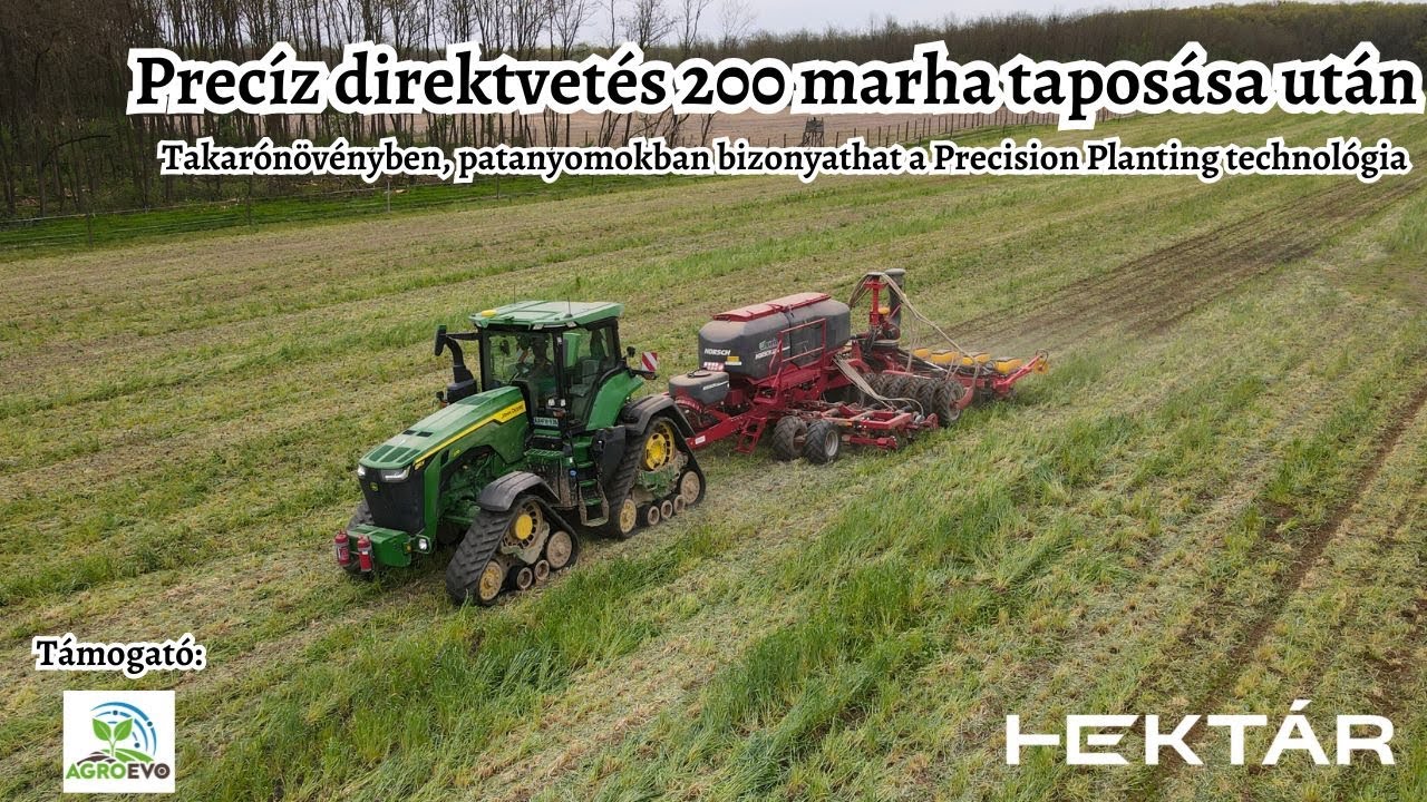Direktvetés extrém körülmények között | 200 marha taposta a takarónövényes táblát, de a vetés precíz