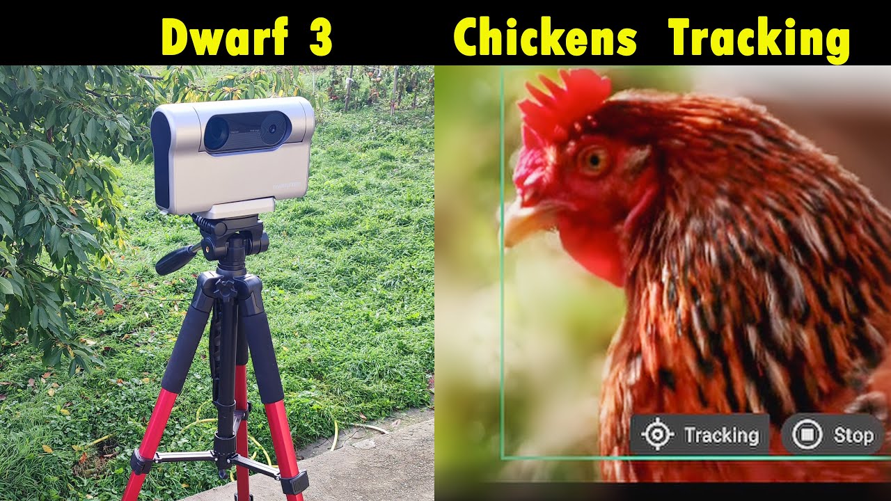 Умный телескоп отслеживает кур как настоящий профессионал! 🐔🔭 (Тест отслеживания объектов DWARF 3)