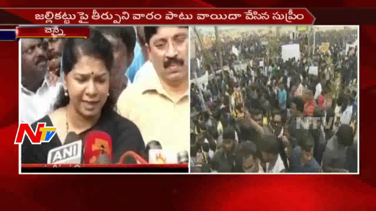 DMK MP Kane Muli Participates in Rail Roko || Jallikattu Protest || NTV