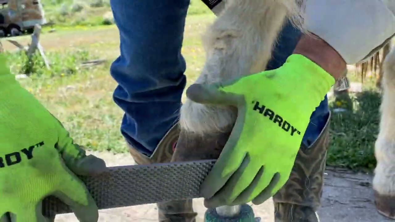 Mountain man Natural hoof care