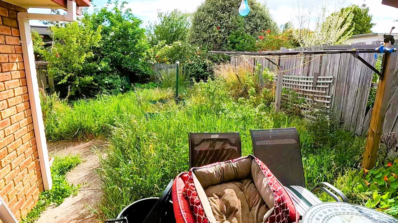 You won't BELIEVE this Almighty YARD RESTORATION!!!