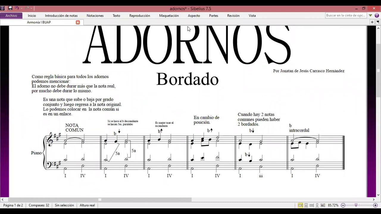 Adornos Bordado