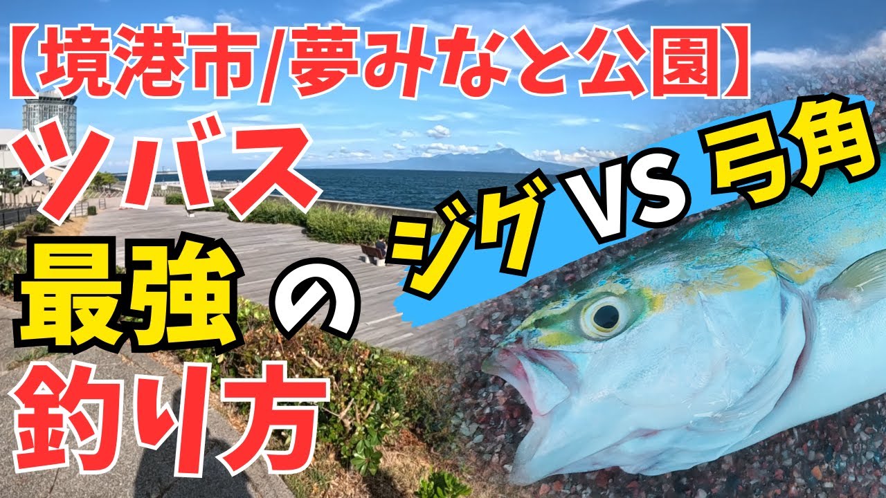 【境港市/夢みなと公園】ツバス最強の釣り方！ジグVS弓角