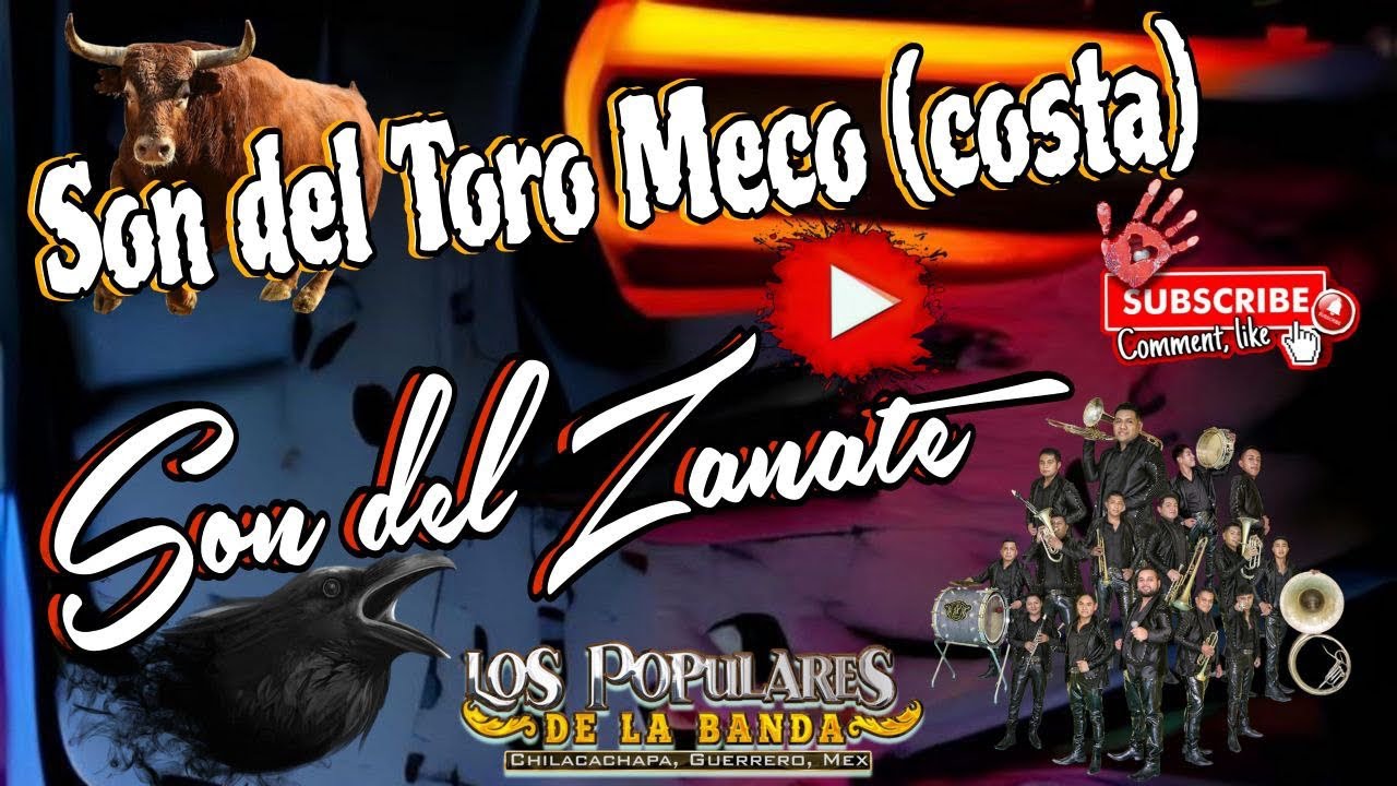 Pop Sones Toro Meco y Son del Zanate / Los Populares de la Banda de Chilacachapa Gro 