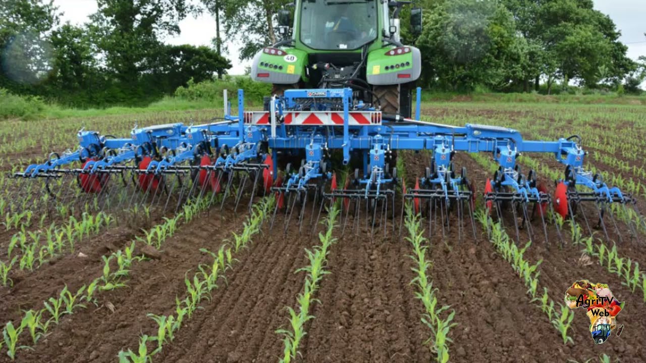 Comment préparer son sol avant de planter ?