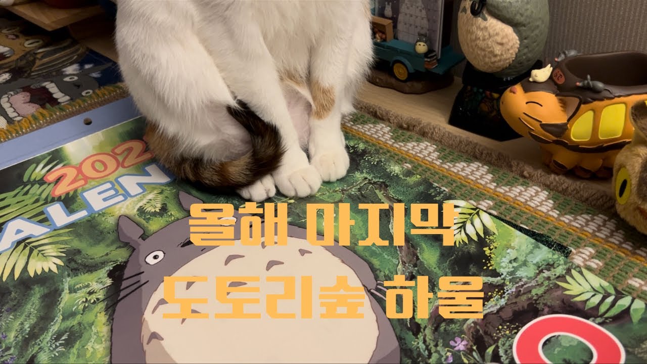 2022 마지막 지브리 덕후의 도토리숲 털기 | 토토로 달력