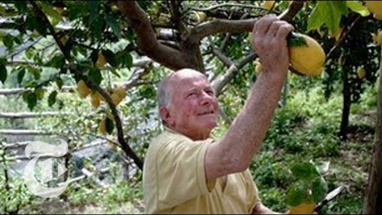 A Legacy of Lemons on the Amalfi Coast - 2013 | The New York Times