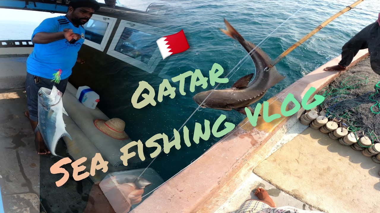 🇧🇭கத்தார் நாட்டு கடல்ல தூண்டில்🎣 மீன் பிடிக்கும்🐟🐠 காச்சி Qatar tamil menavan(QTM)