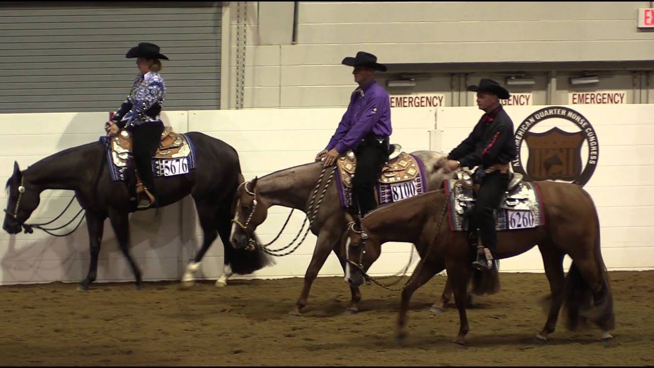 CONGRESS MASTERS WESTERN PLEASURE