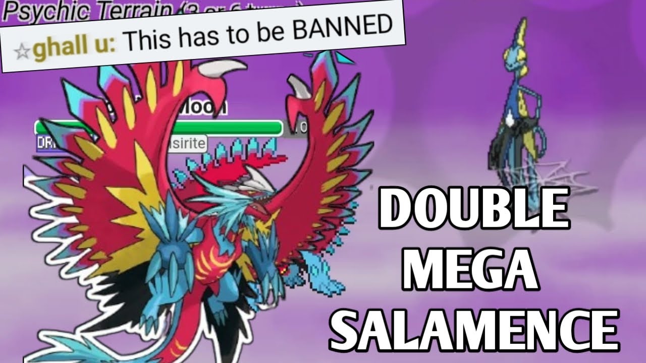 I USED DOUBLE MEGA SALAMENCE IN STABMONS MIX AND MEGA
