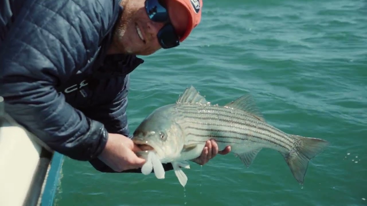 How to Find the BIG Stripers #hogylures #fishing #capecod