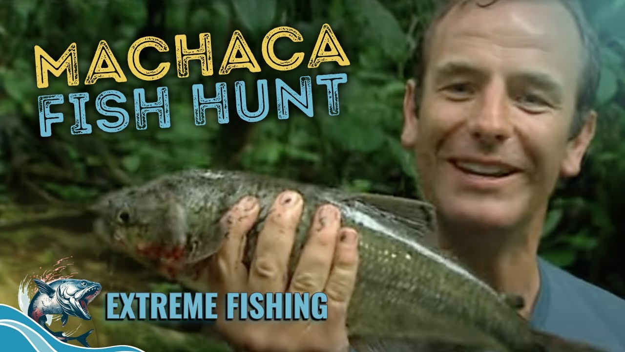 Meet the Machaca Fish | Extreme Fishing