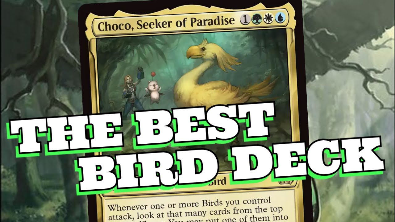 Choco actually BREAKS BIRDS! 