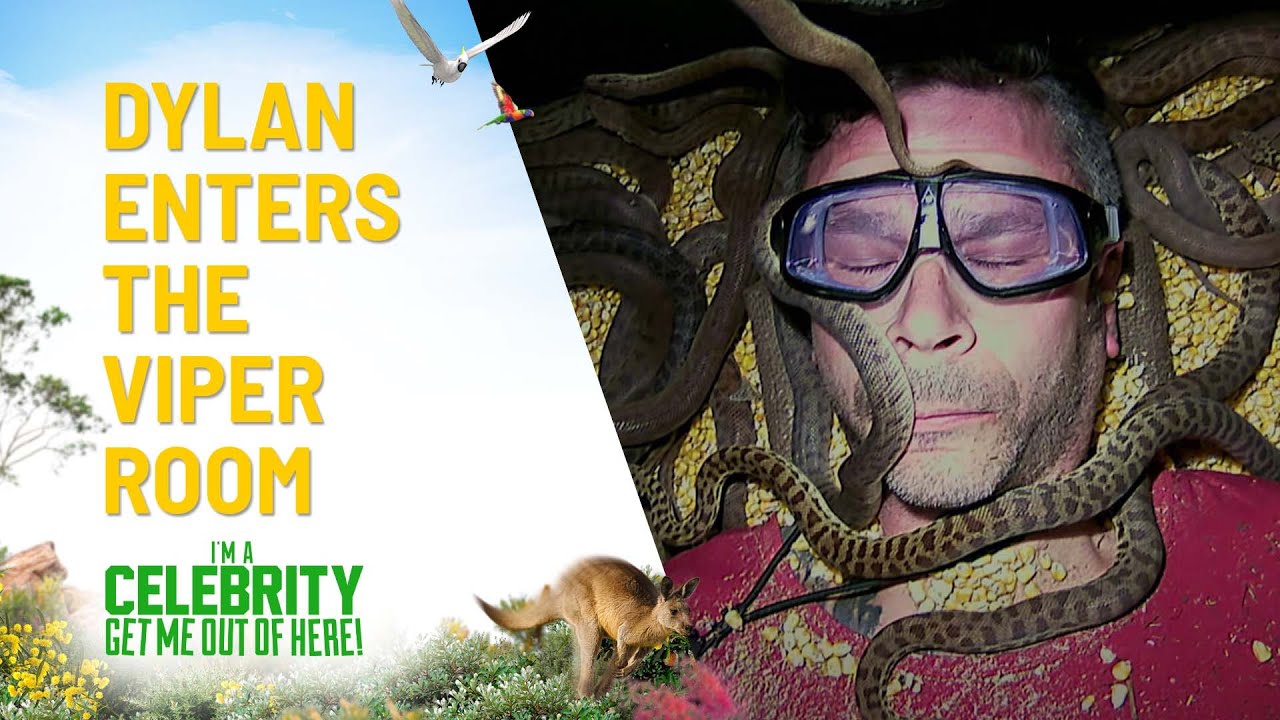 Dylan In The Snake Filled Viper Room | I'm A Celebrity...Get Me Out Of Here! Australia | Channel 10