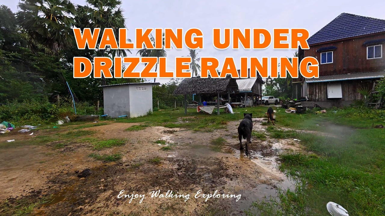 Relaxing Walk in Drizzle Rain 🌧️ Calm Rain Ambience & Peaceful Nature Sounds