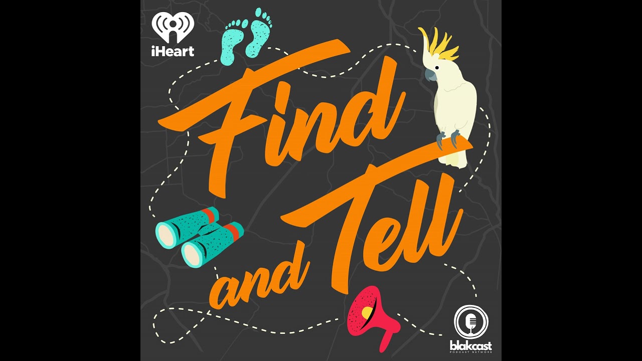 Don't Miss... Find and Tell